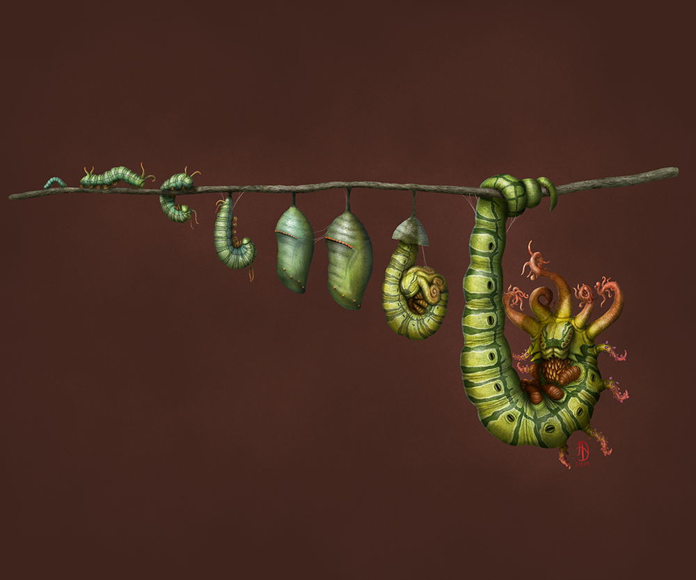 A museum display of a caterpillar lifecycle